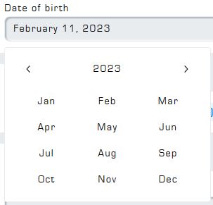 Example of month selector